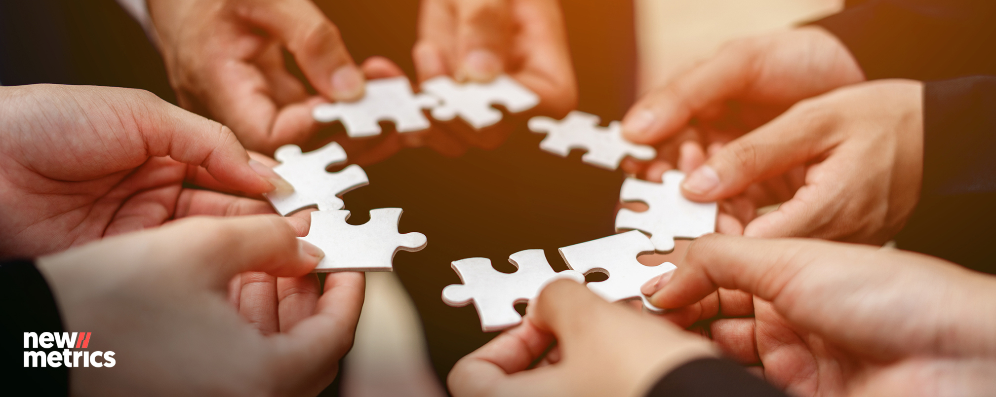 Performance Appraisals Intelligence theories employee experience