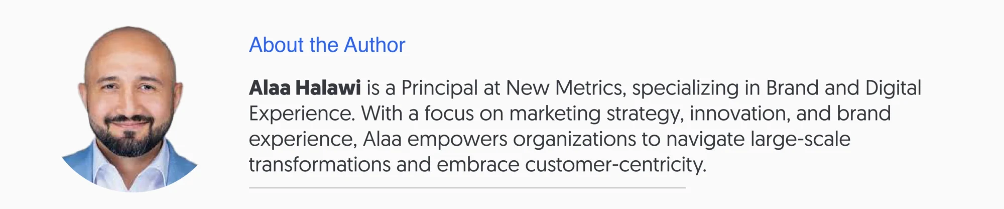 Alaa Halawi-Designing Services for Hybrid Intelligence-New Metrics