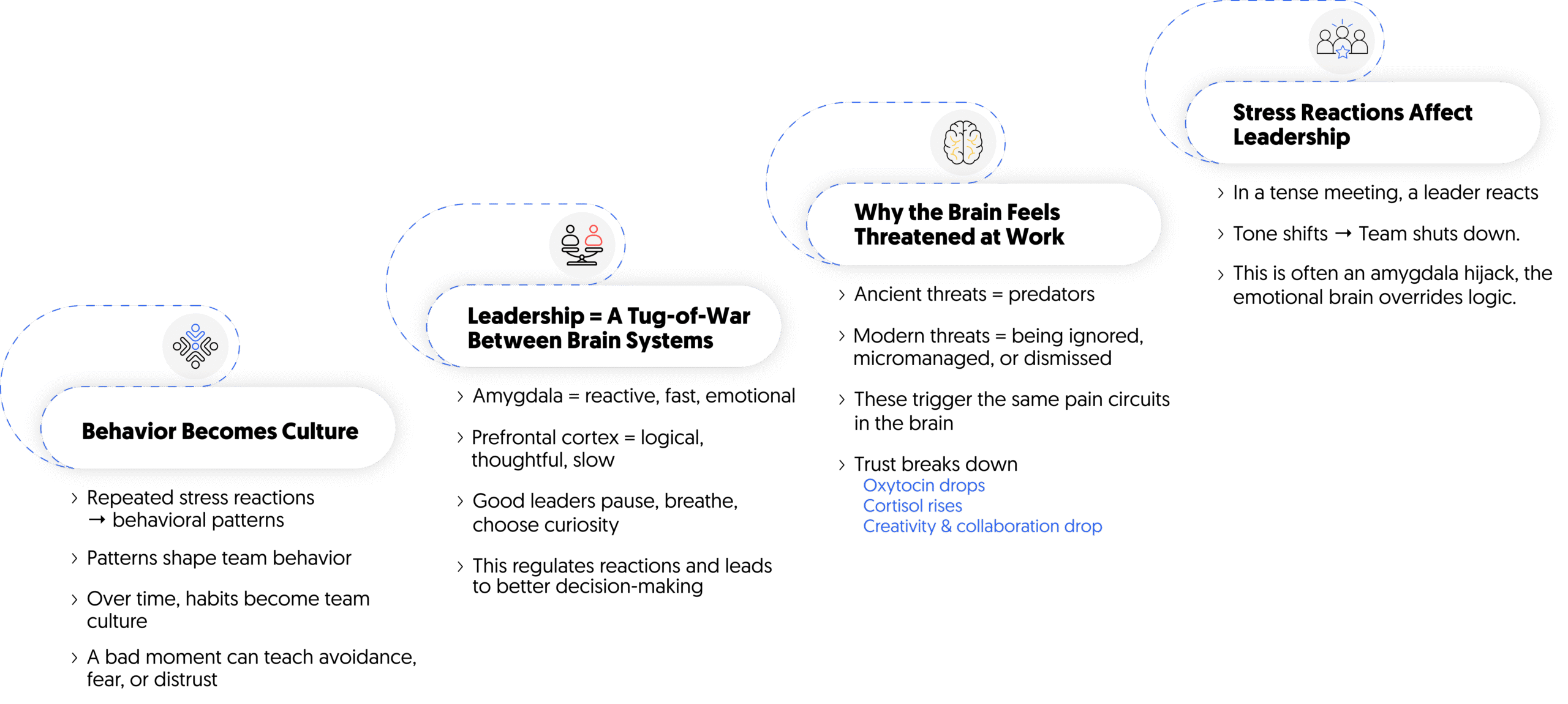 Behavioral Patterns Start in the Brain