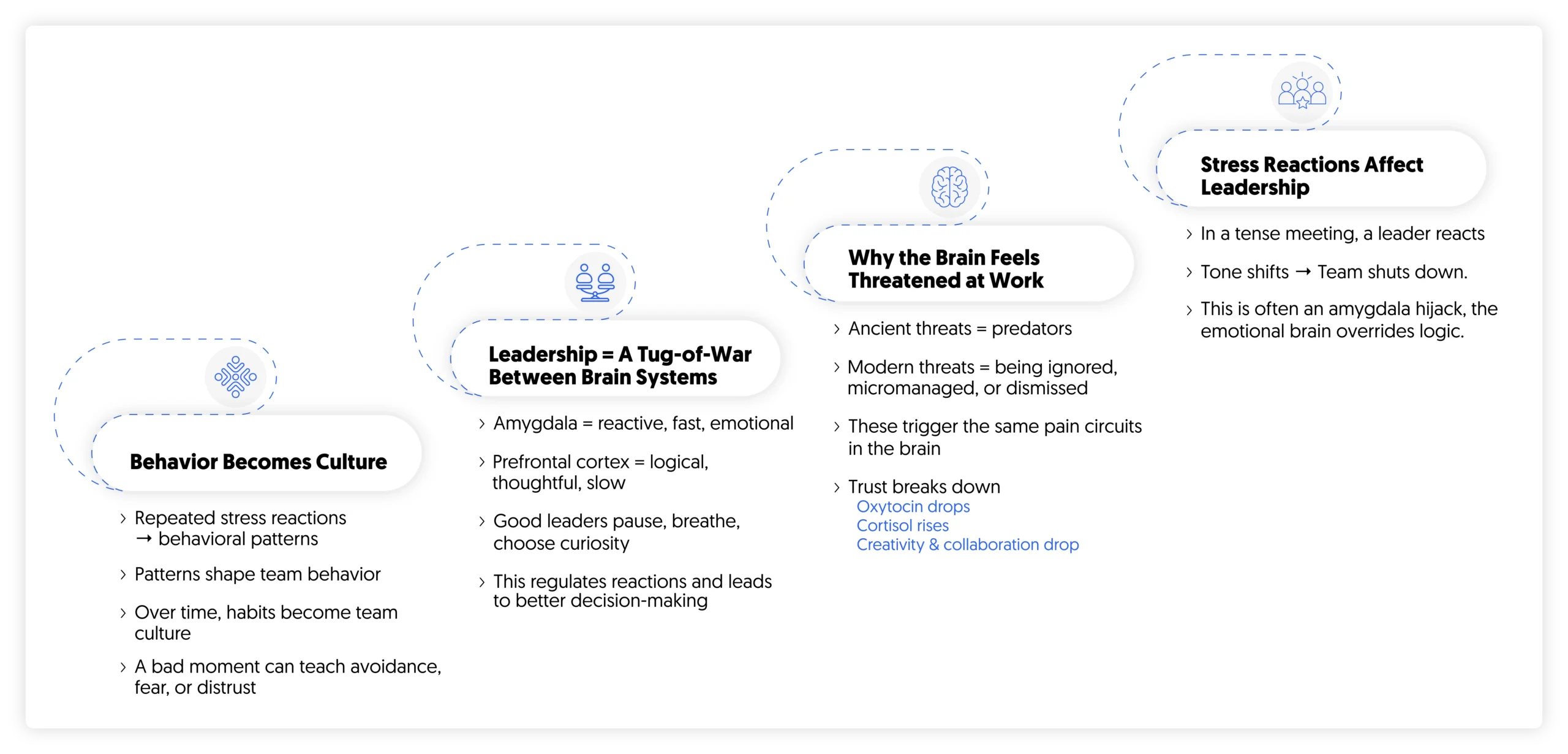 Behavioral Patterns Start in the Brain